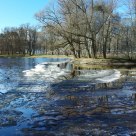 In the Spring Park 2